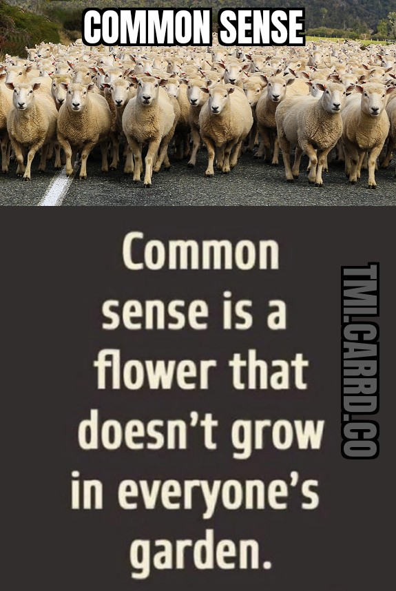 Ownmates Post